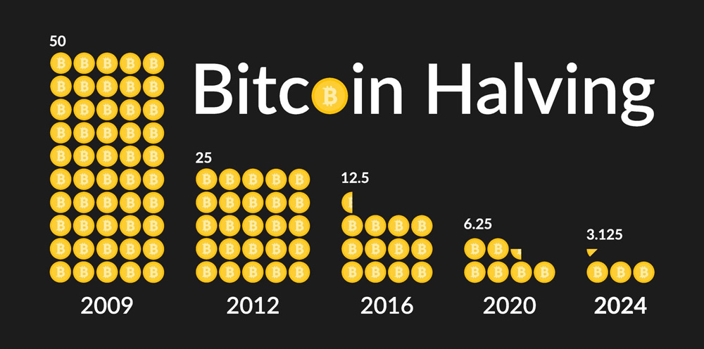 Biểu đồ giá BTC sau các đợt Halving