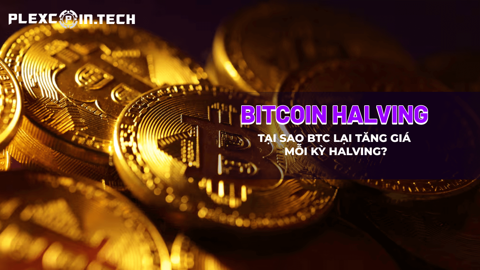 Bitcoin Halving là gì? Tại sao BTC lại tăng giá mỗi kỳ halving?