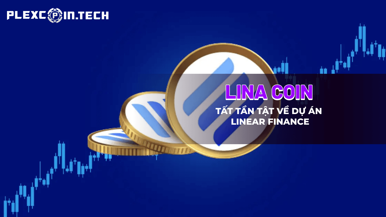 Linear (LINA) là gì? – Tìm hiểu chi tiết về đồng tiền điện tử LINA