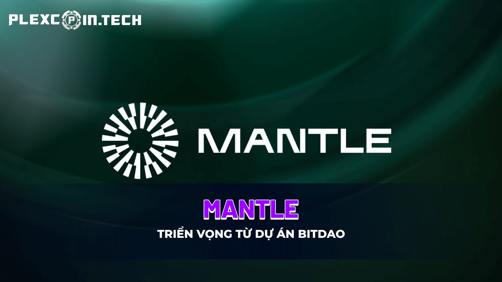 Mantle Network là gì? Blockchain Layer 2 triển vọng từ dự án BitDAO