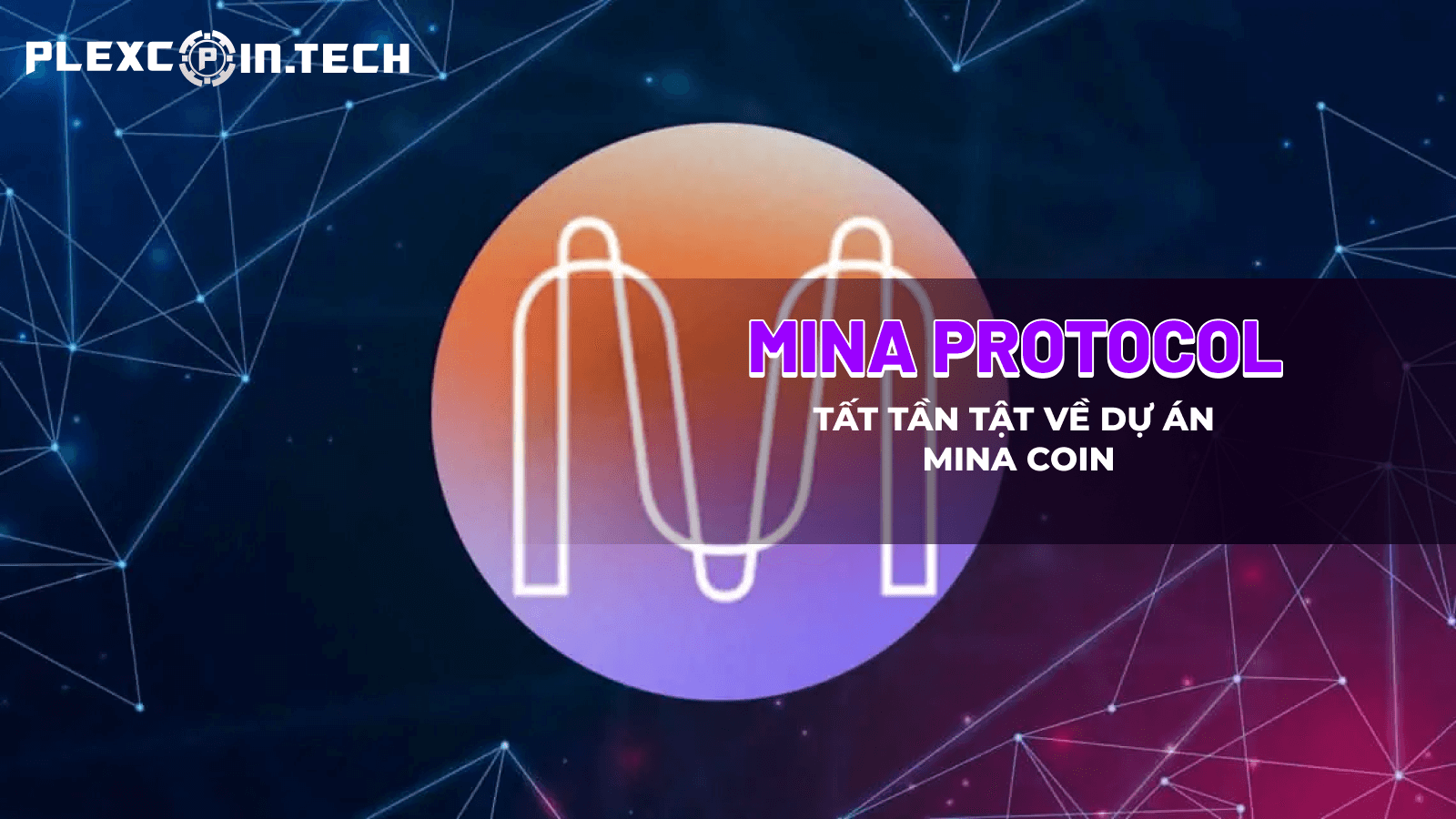 Mina Protocol là gì? Tìm hiểu về Tiền Điện Tử MINA