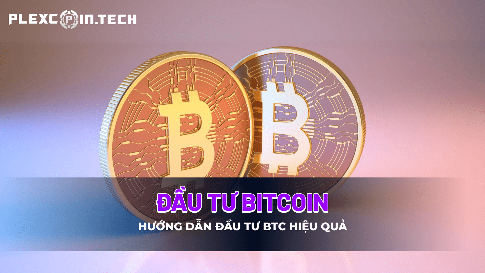 Đầu tư Bitcoin là gì? Kiến thức đầu tư Bitcoin từ A-Z cho người mới