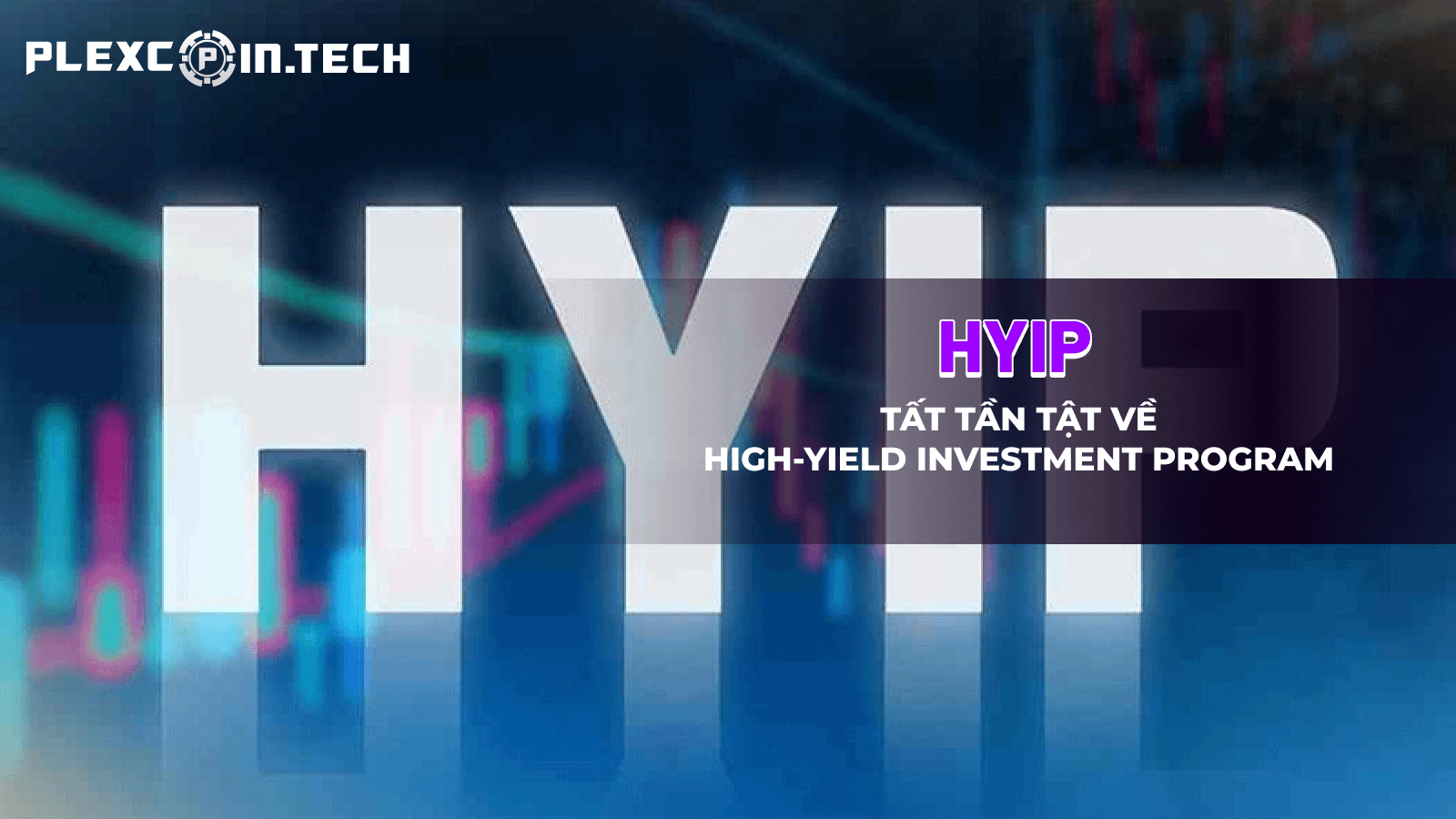 Dự án HYIP là gì? Tất cả những gì bạn cần biết về High-Yield Investment Program